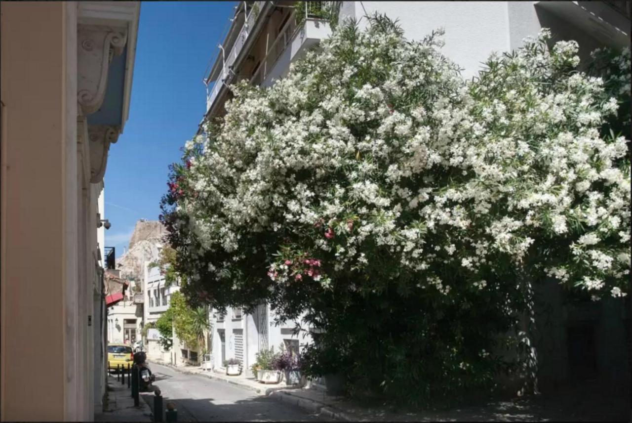 By The Acropolis, In The Heart Of Plaka! Apartment Athens Exterior photo